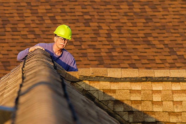 Roof Gutter Cleaning in Lambertville, NJ